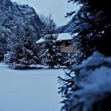 Casa Artemi Hotel Remeţi Buitenkant foto