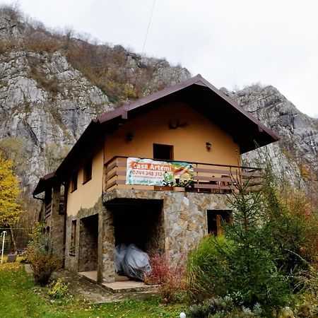 Casa Artemi Hotel Remeţi Buitenkant foto