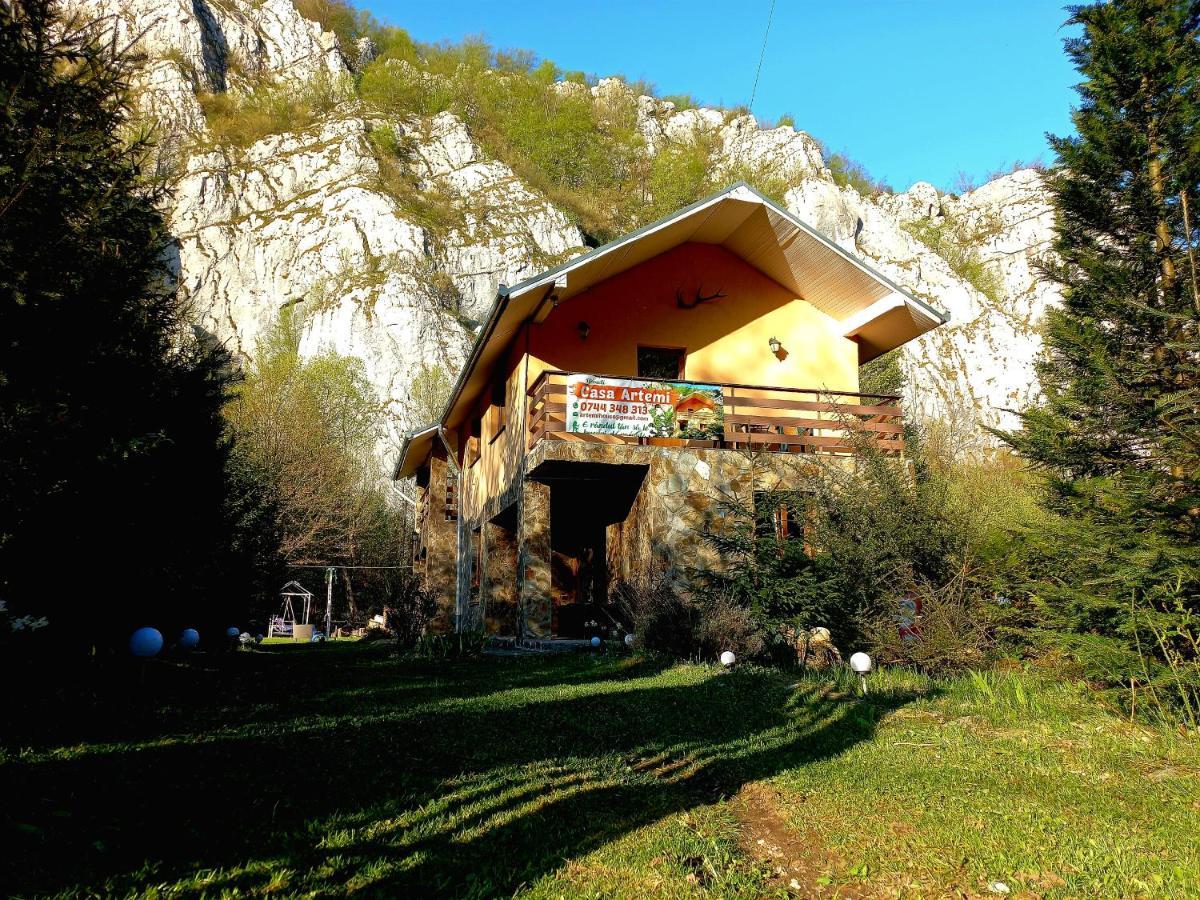 Casa Artemi Hotel Remeţi Buitenkant foto