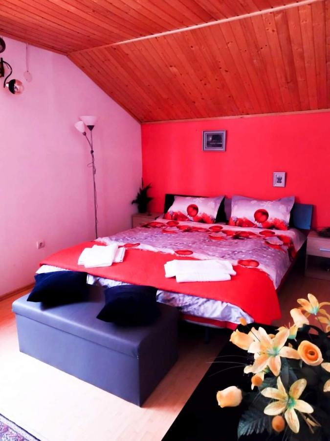 Casa Artemi Hotel Remeţi Buitenkant foto