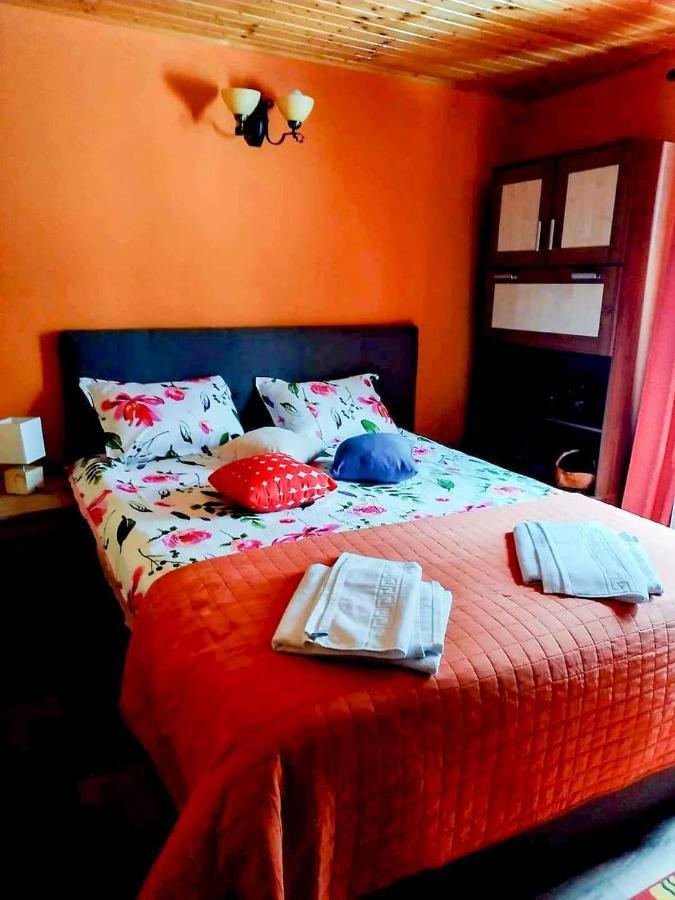 Casa Artemi Hotel Remeţi Buitenkant foto