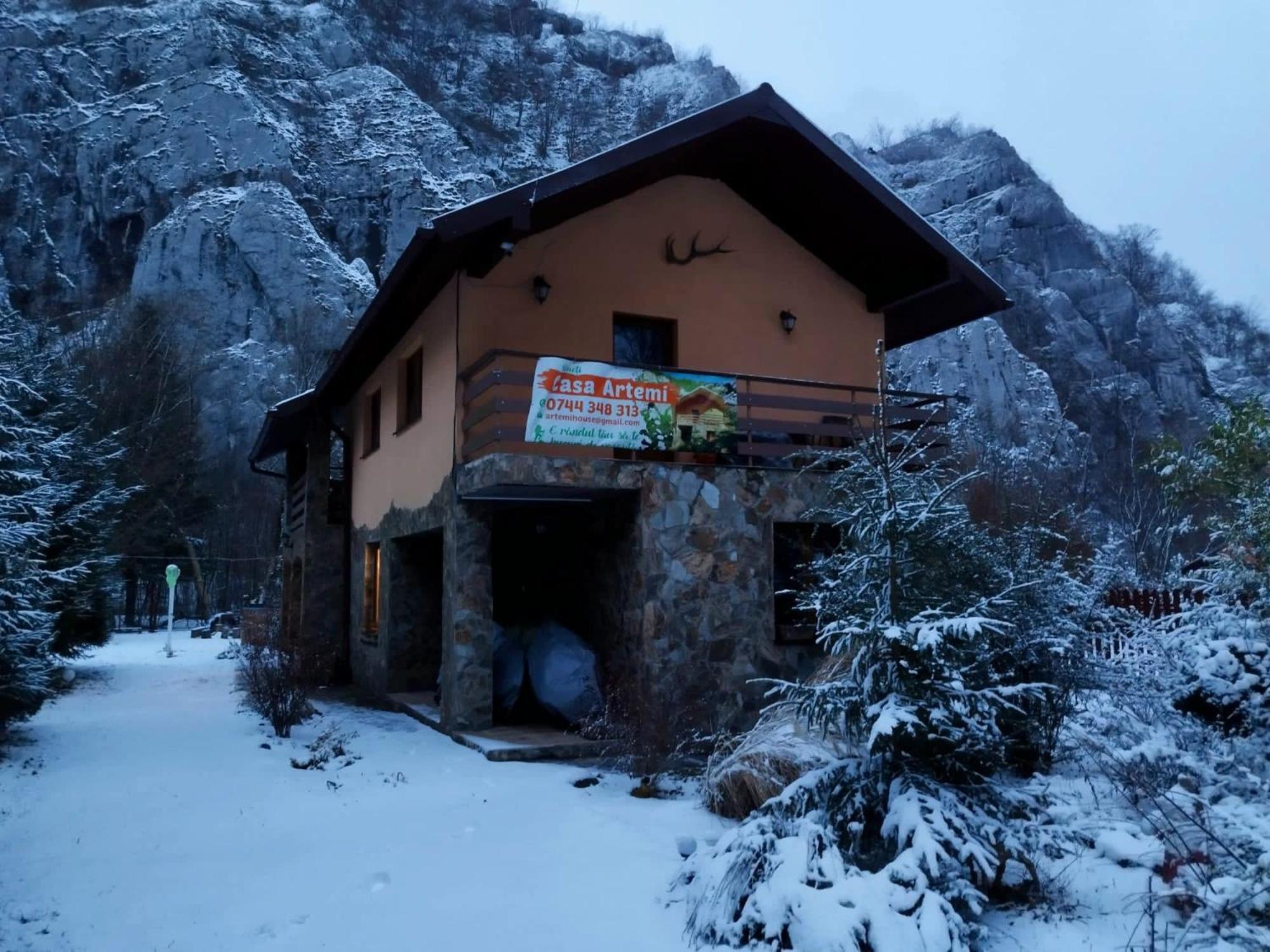 Casa Artemi Hotel Remeţi Buitenkant foto