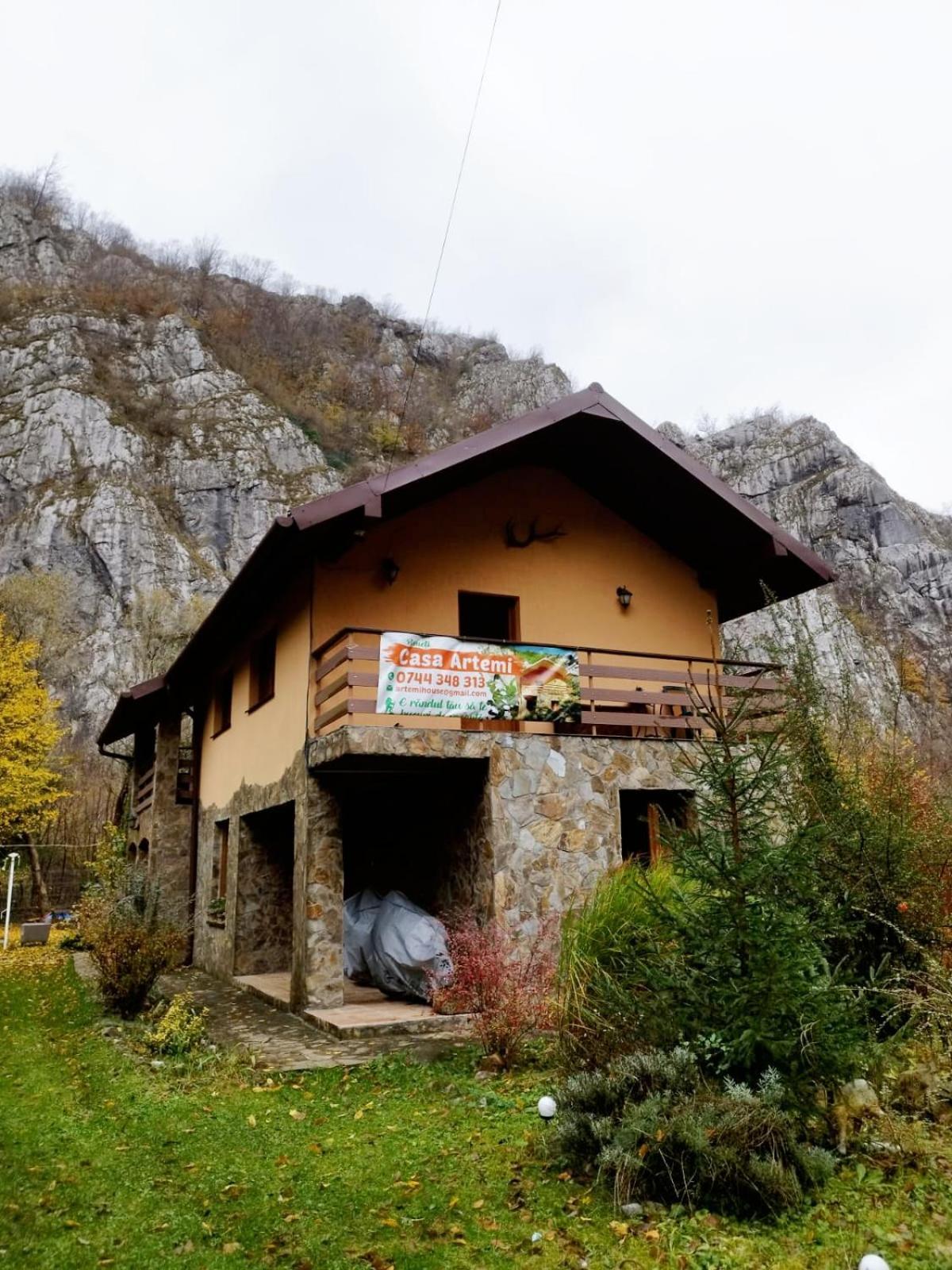 Casa Artemi Hotel Remeţi Buitenkant foto