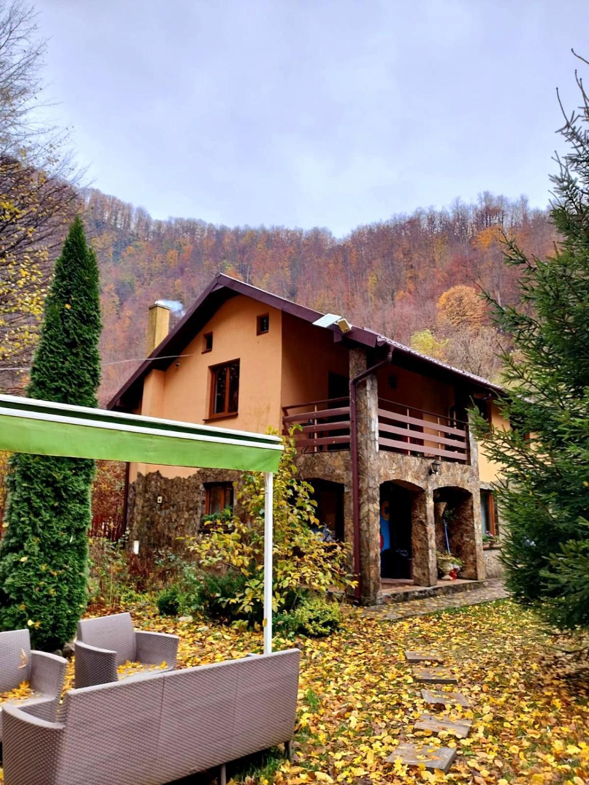 Casa Artemi Hotel Remeţi Buitenkant foto